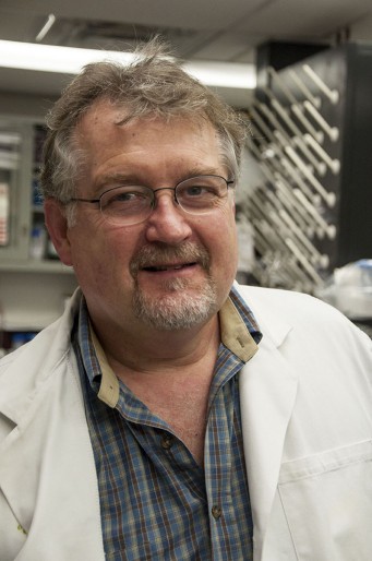 Johnston Awarded NIH Grant to Investigate Melanoma Therapies